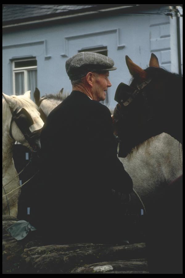 017008 Horse Trader, Dingle A4 Photo Print