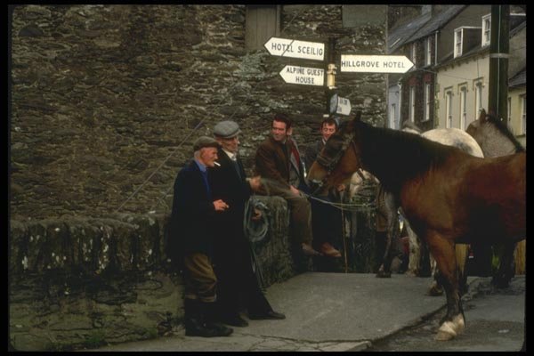 017009 Horse Traders, Dingle A4 Photo Print