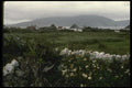 017015 Achille Island A4 Photo Print