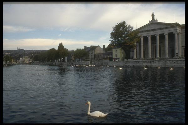 017017 Canal, Cork A4 Photo Print