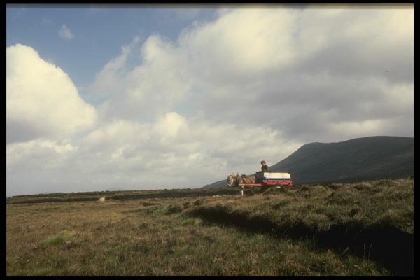 017019 Gathering Peat, Achille Island A4 Photo Print