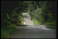 017038 Wicklow Mountain Road Scene A4 Photo Print