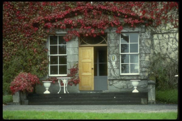 017083 House Front, Westport A4 Photo Print