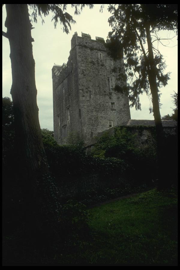 017091 Castle North Of Shannon A4 Photo Print