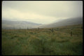 017093 Fields, Wicklow Mountains A4 Photo Print
