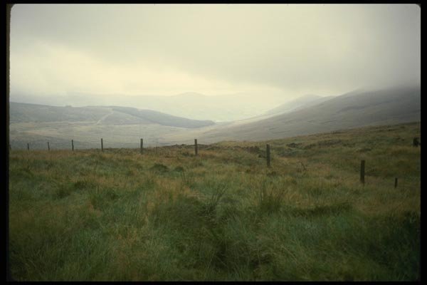 017093 Fields, Wicklow Mountains A4 Photo Print