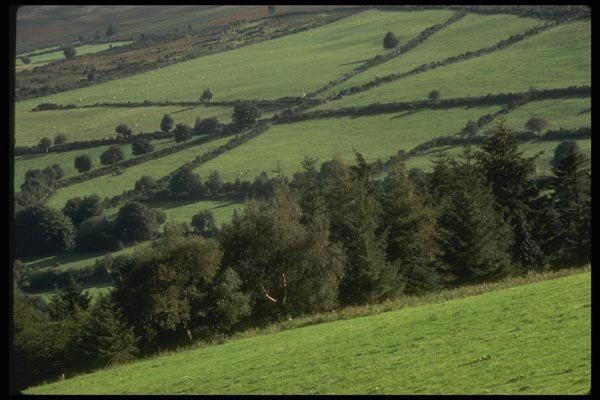 017095 Fields In The Wicklow Mountain A4 Photo Print