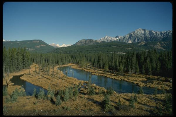 018000 Rocky Mountains Near Golden, B.C. A4 Photo Print