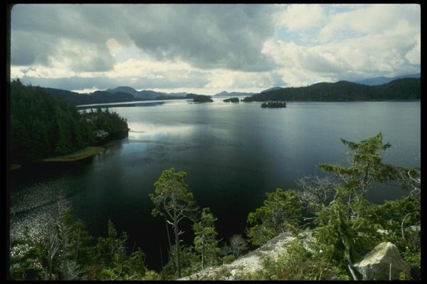 018001 Tolfino Inlet, Vancouver Island A4 Photo Print