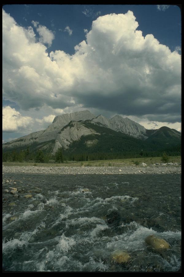 018002 Bow River Near Banff, Alberta A4 Photo Print