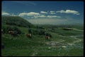 018012 Frenchman River Valley, Grasslands National Park A4 Photo Print