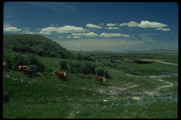 018012 Frenchman River Valley, Grasslands National Park A4 Photo Print