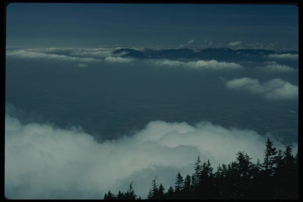 018015 Fraser Valley Near Chilliwack, B.C. A4 Photo Print