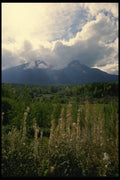 018041 Near Smithers, B.C. A4 Photo Print