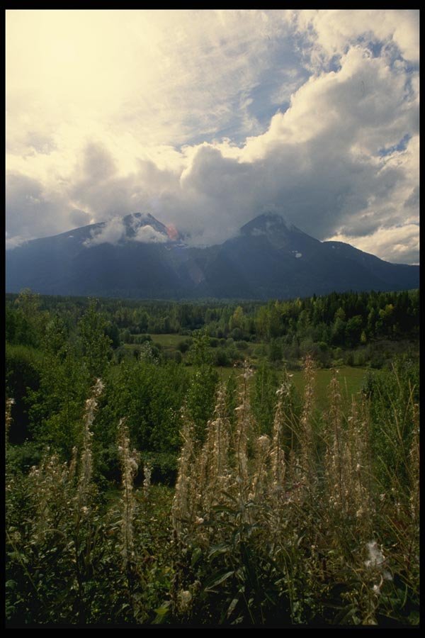018041 Near Smithers, B.C. A4 Photo Print