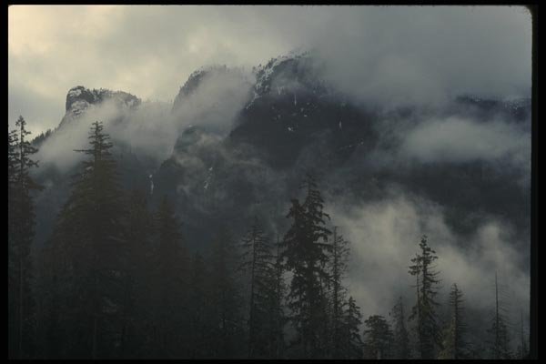 018046 Vancouver Island Range, Strathcona Park, Vancouver Island A4 Photo Print