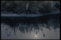 018049 Hoar Frost On Grass In Fraser Valley, B.C. A4 Photo Print