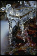 018052 Icicles A4 Photo Print