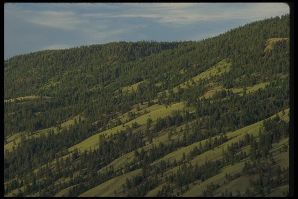 018055 Thompson River Valley Near Kamloops, B.C. A4 Photo Print