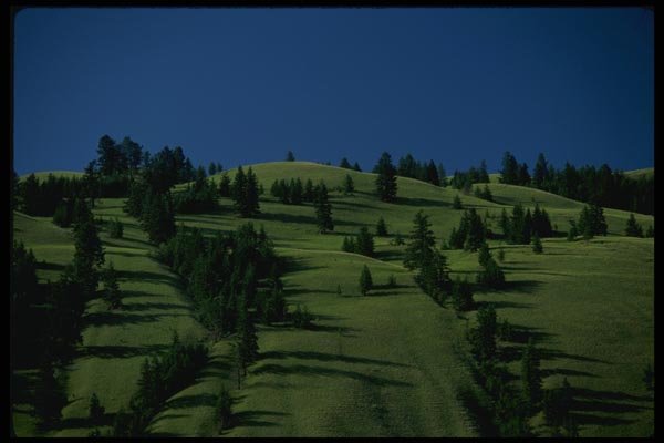 018077 Thompson River Valley Near Kamloops, B.C. A4 Photo Print