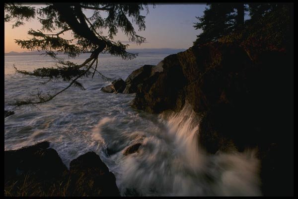 018091 Port Renfrew West Coast, Vancouver Island A4 Photo Print