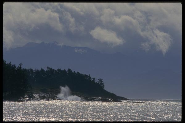 018092 East Sooke West Coast, Vancouver Island A4 Photo Print