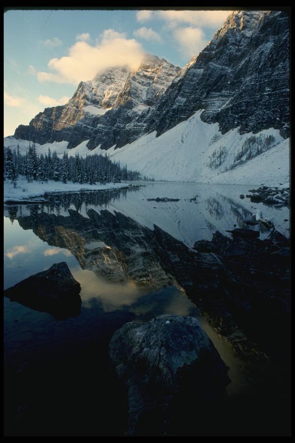 018094 Rock Lake Mount Assiniboine Park, B.C. A4 Photo Print