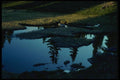 018099 Subalpine Garibaldi Park, B.C. A4 Photo Print
