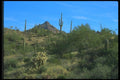 019003 Rugged Desert Terrain A4 Photo Print