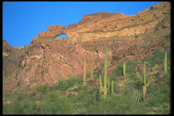 019049 Natural Arch Organ Pipe National Monument A4 Photo Print