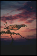 019074 Gambel's Quail Jumps From Ocotillo A4 Photo Print