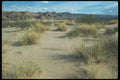 019076 Rippled Sands Near Lake Mead A4 Photo Print