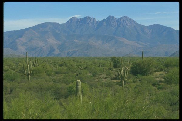 019077 Four Peaks Sonoran Desert A4 Photo Print