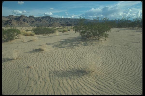 019079 Sand Of Mohave Desert A4 Photo Print