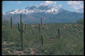 019080 Snow On Four Peaks A4 Photo Print