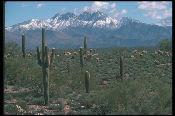 019080 Snow On Four Peaks A4 Photo Print