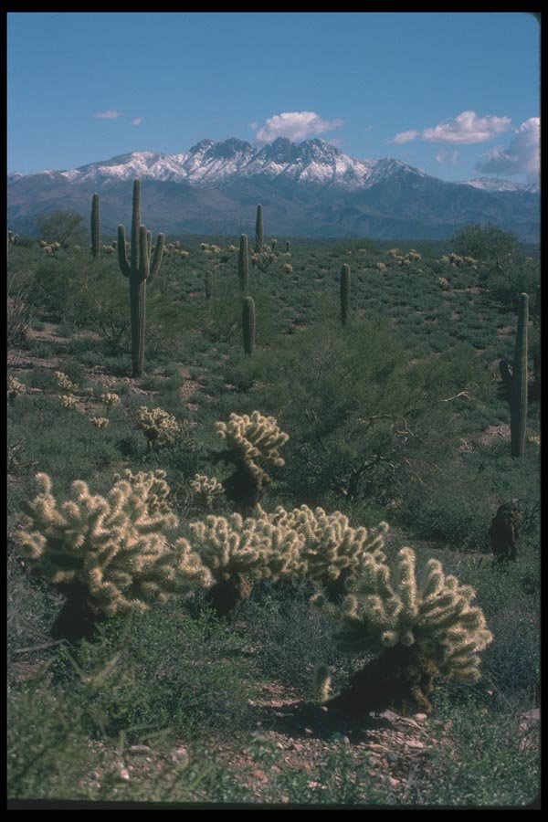 019084 Snow On Four Peaks A4 Photo Print