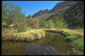 019085 Sabino Canyon Creek A4 Photo Print