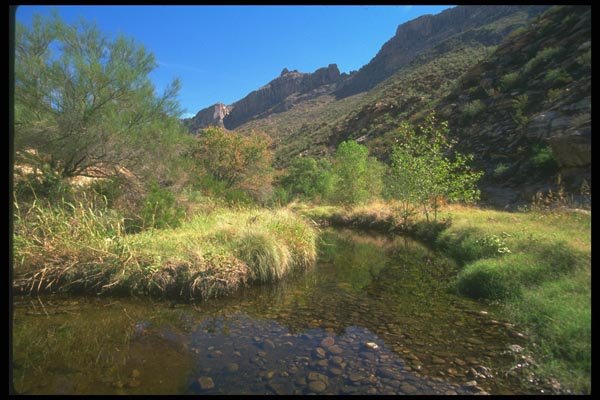 019085 Sabino Canyon Creek A4 Photo Print