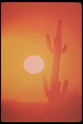 019087 Sunset Over Sonoran Desert A4 Photo Print