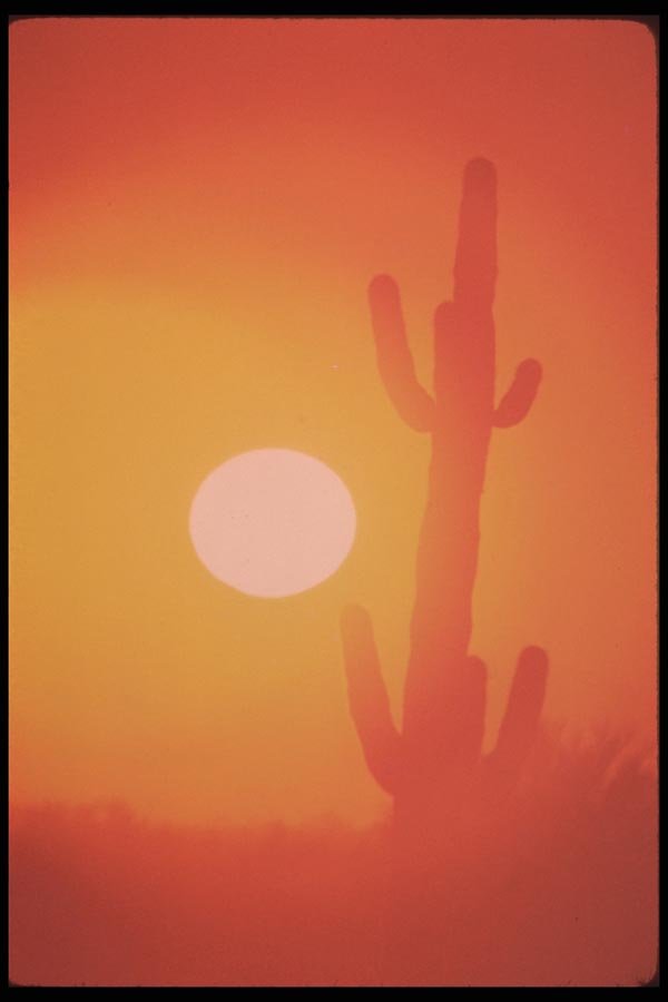 019087 Sunset Over Sonoran Desert A4 Photo Print