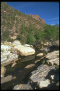 019089 Sabino Canyon Creek A4 Photo Print