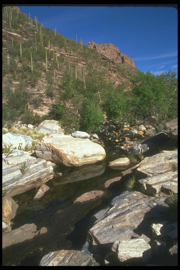 019089 Sabino Canyon Creek A4 Photo Print