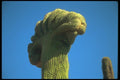 019091 Sunset Paints Montezuma Head A4 Photo Print