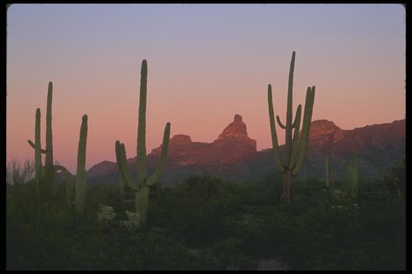 019095 Desert Peaks In Evening A4 Photo Print