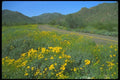 019096 Desert Highway A4 Photo Print