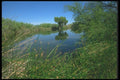 019098 Pond On Desert Outskirts A4 Photo Print