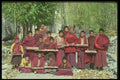 020002 Young Buddhist Monks, Hemis Monastery A4 Photo Print