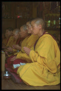 020003 Buddhist Nuns At Prayer, Geden Choling Nunnery A4 Photo Print