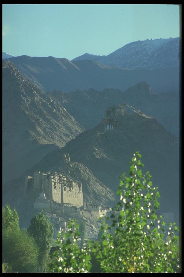 020008 Historic Leh Palace A4 Photo Print